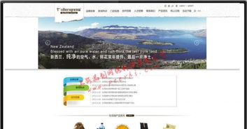 閔行企業網站建設 選擇專業設計，賦能上海企業發展